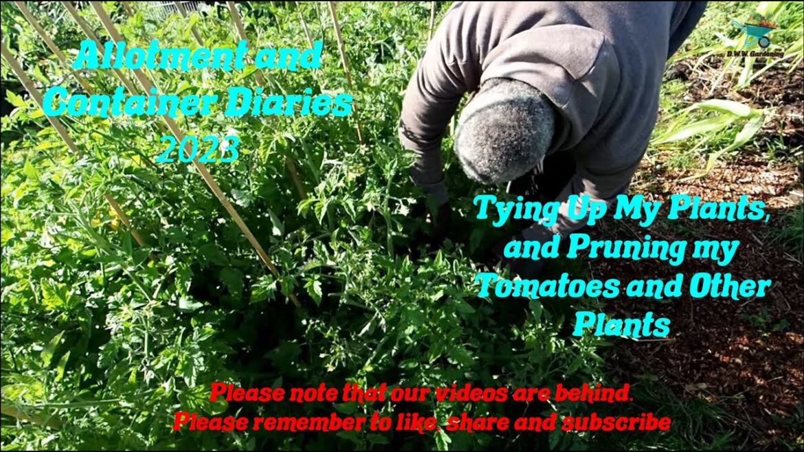 D.W.W. Gardening 2023 - Tying Up and Pruning My Plants