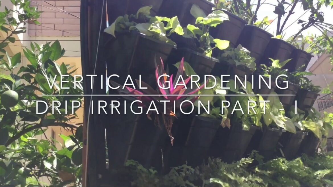 vertical gardening making drip irrigation DIY part 1 - English