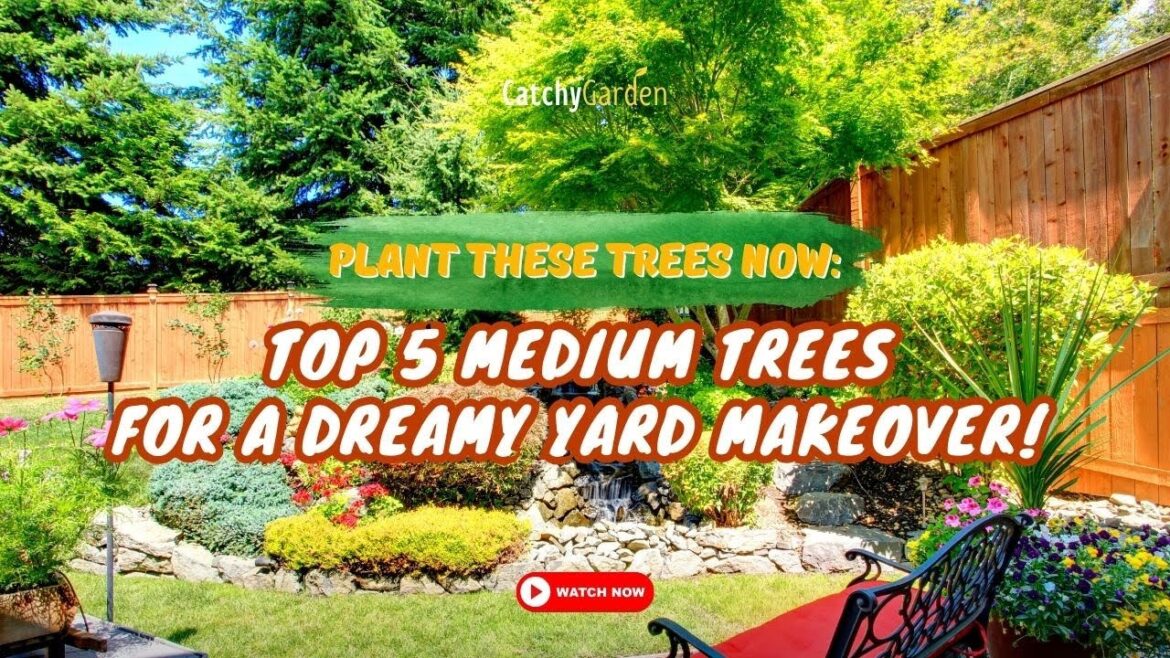 Plant These Trees NOW: Top 5 Medium Trees for a Dreamy Yard Makeover! 🌲