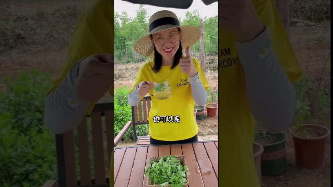 Beautiful Nature Garden Plan Natural life Style Beautiful landscapes