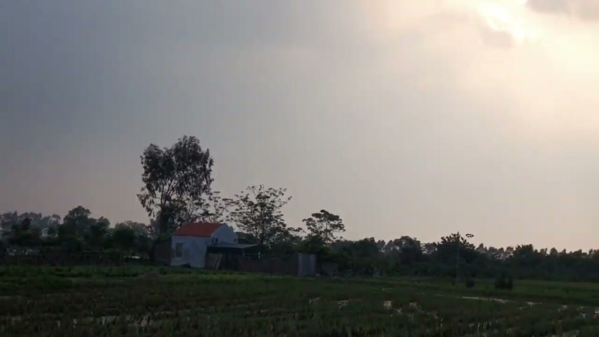 Gardening Through the Seasons: Maintaining a Clean Garden