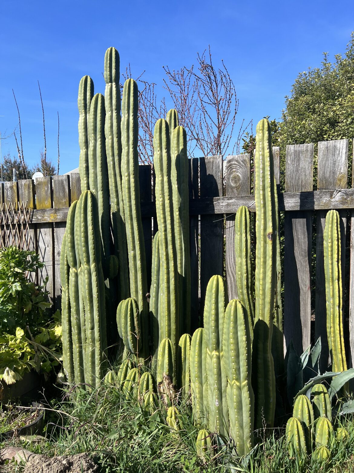 Wanaka, New Zealand. Start of spring!