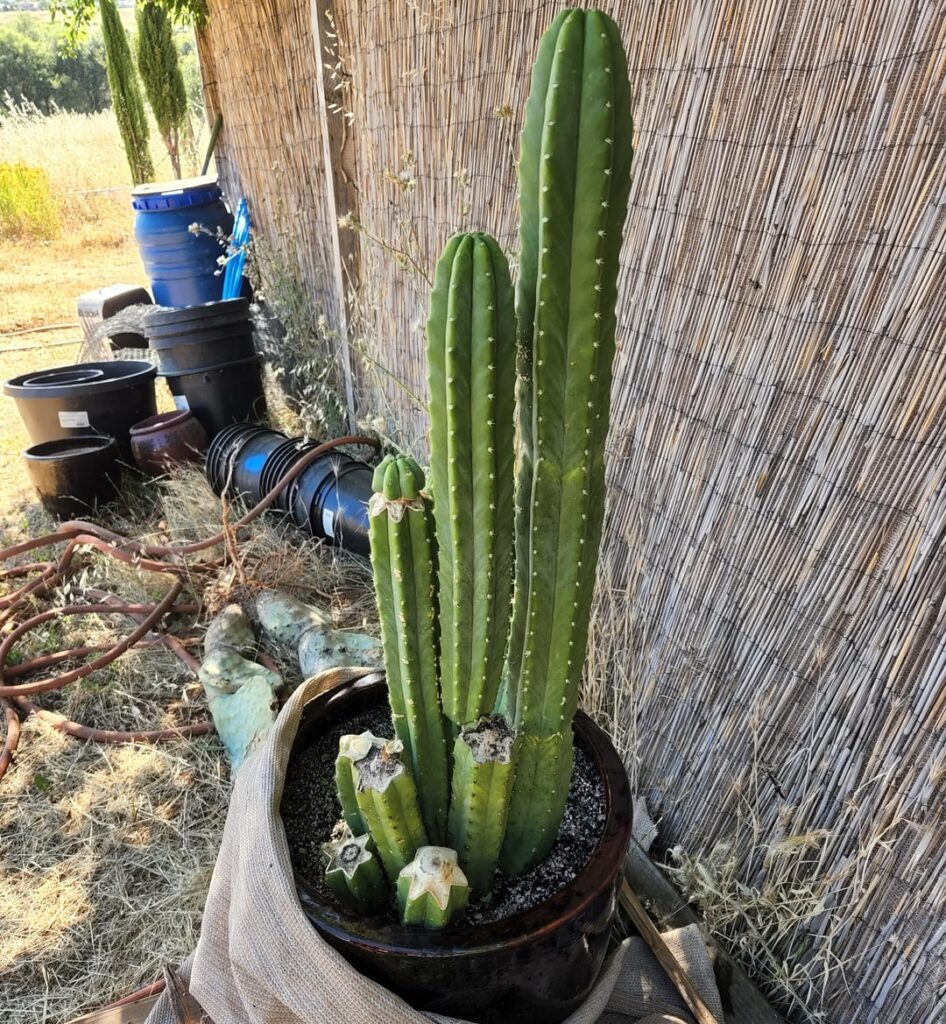 Landfill on PC - Then and now