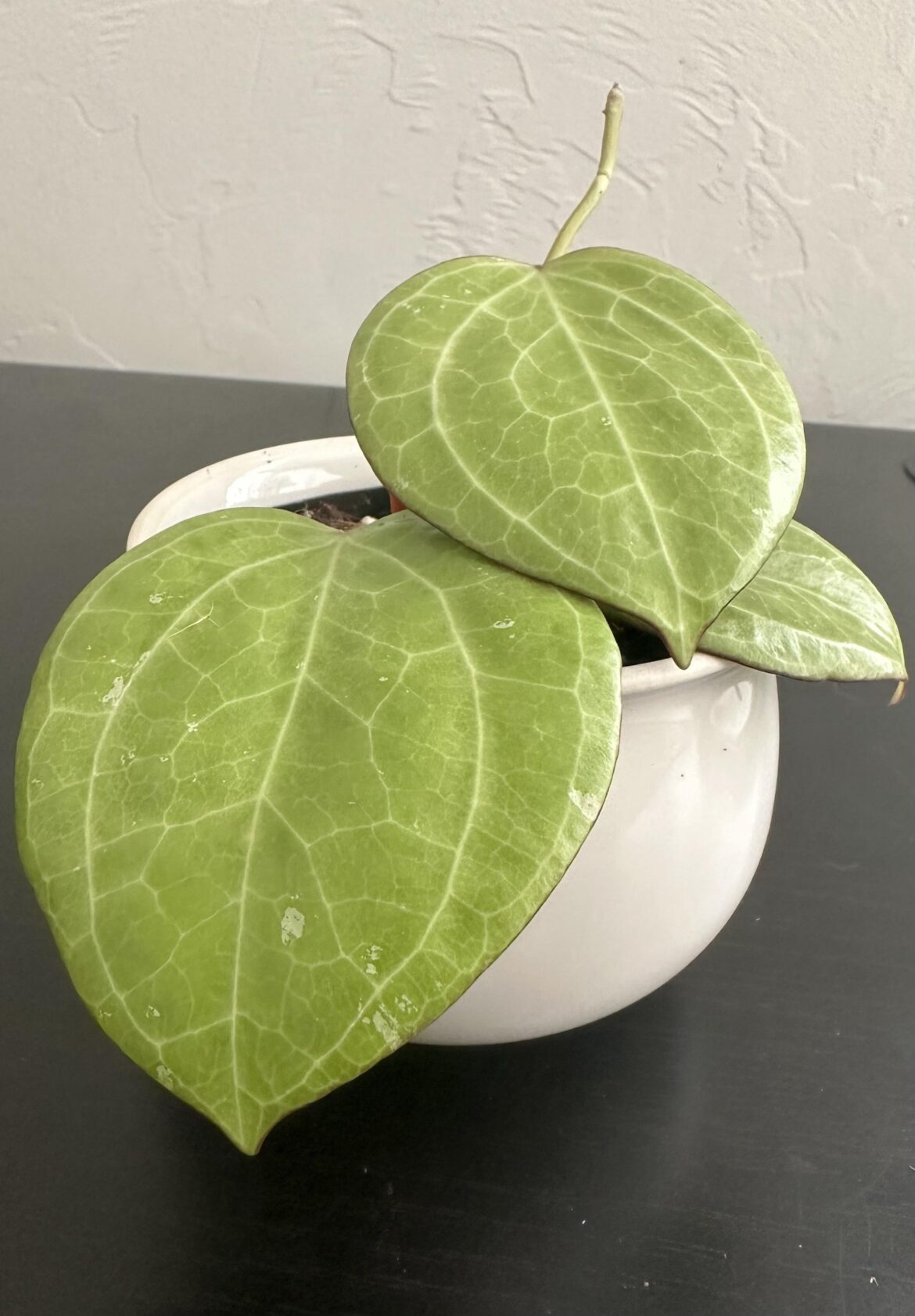 Ahhhh I am in love 😍