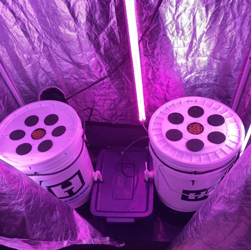 Finally finished my first grow tent and hydro setup. Finally finished my first grow tent and hydro setup.