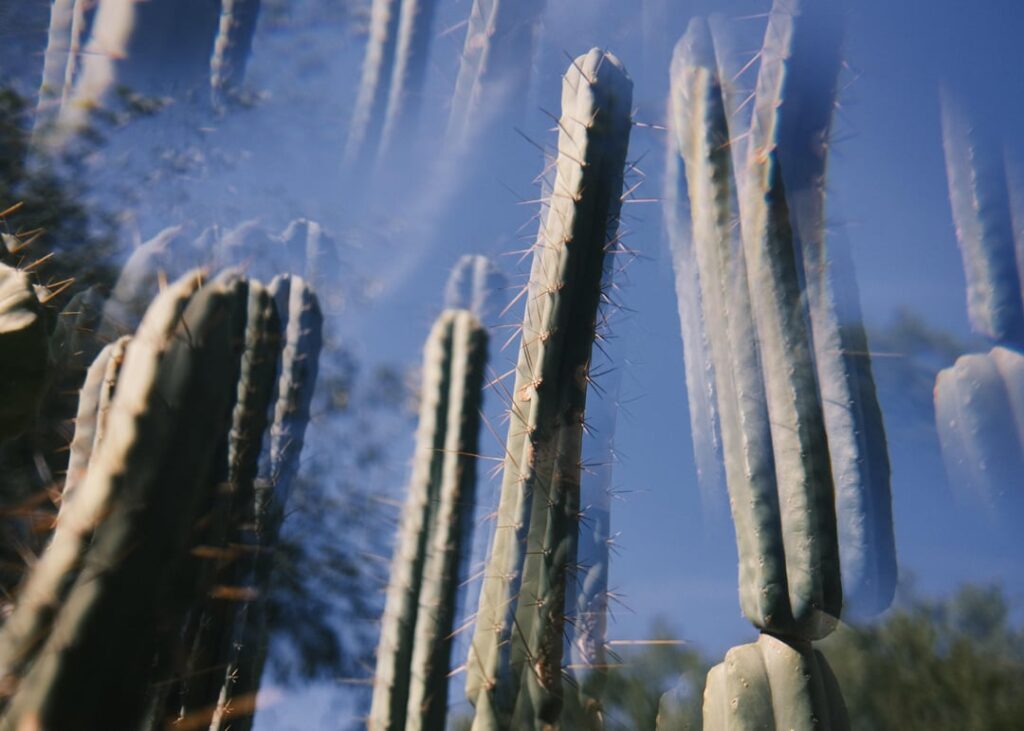 Testing out a new prism filter I picked up recently