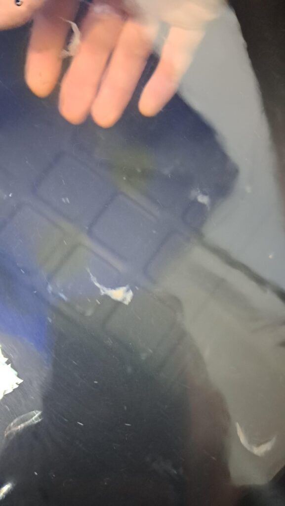 what are those white gooey things floating in my DWC ?