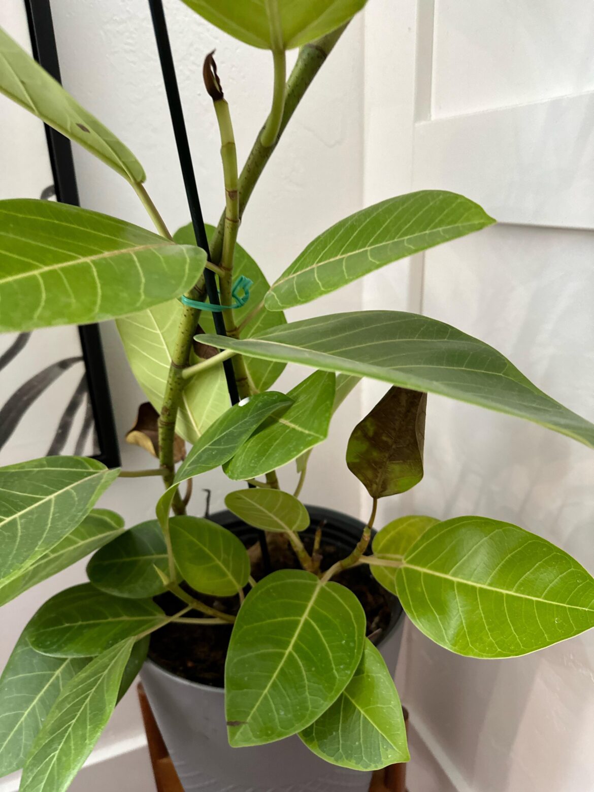 What’s wrong with her?