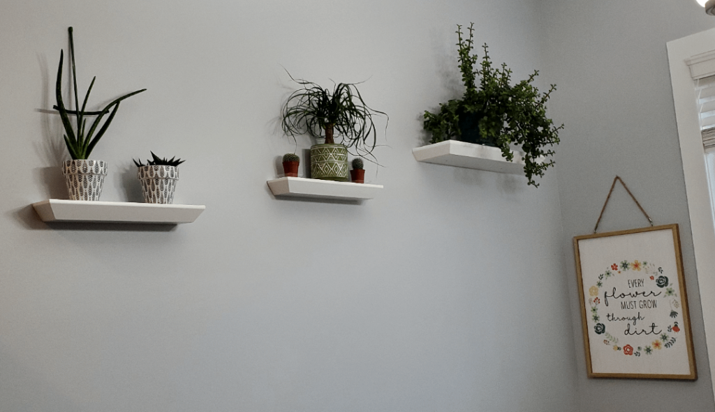 New shelves in our dining room. I'm absolutely in love 😍