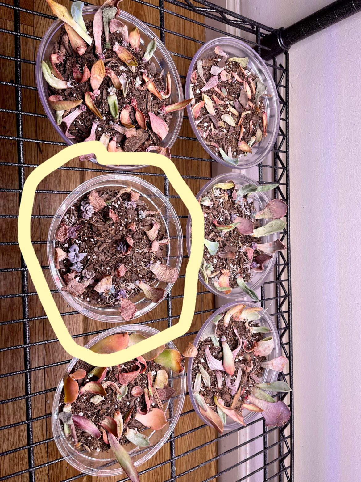 Another “Holy smokes, it really works – and now what?” post. Another “Holy smokes, it really works - and now what?” post.