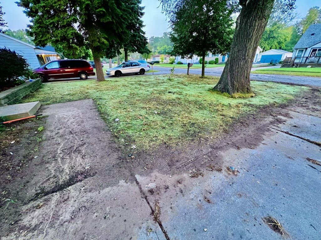 I’m so stoked and proud. Full lawn reno, this is After Midnight pure kbg 10 days after throwing the seed down, caught in the morning dew. 4 days of sunshine high low 80’s here in zone 6b gonna help make this front lawn a reality for winter. I tilled, irrigation install, amended the soil, the works! I'm so stoked and proud. Full lawn reno, this is After Midnight pure kbg 10 days after throwing the seed down, caught in the morning dew. 4 days of sunshine high low 80's here in zone 6b gonna help make this front lawn a reality for winter. I tilled, irrigation install, amended the soil, the works!