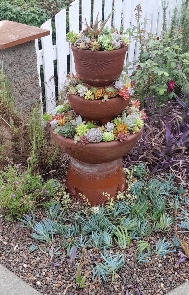 I made a succulent fountain!