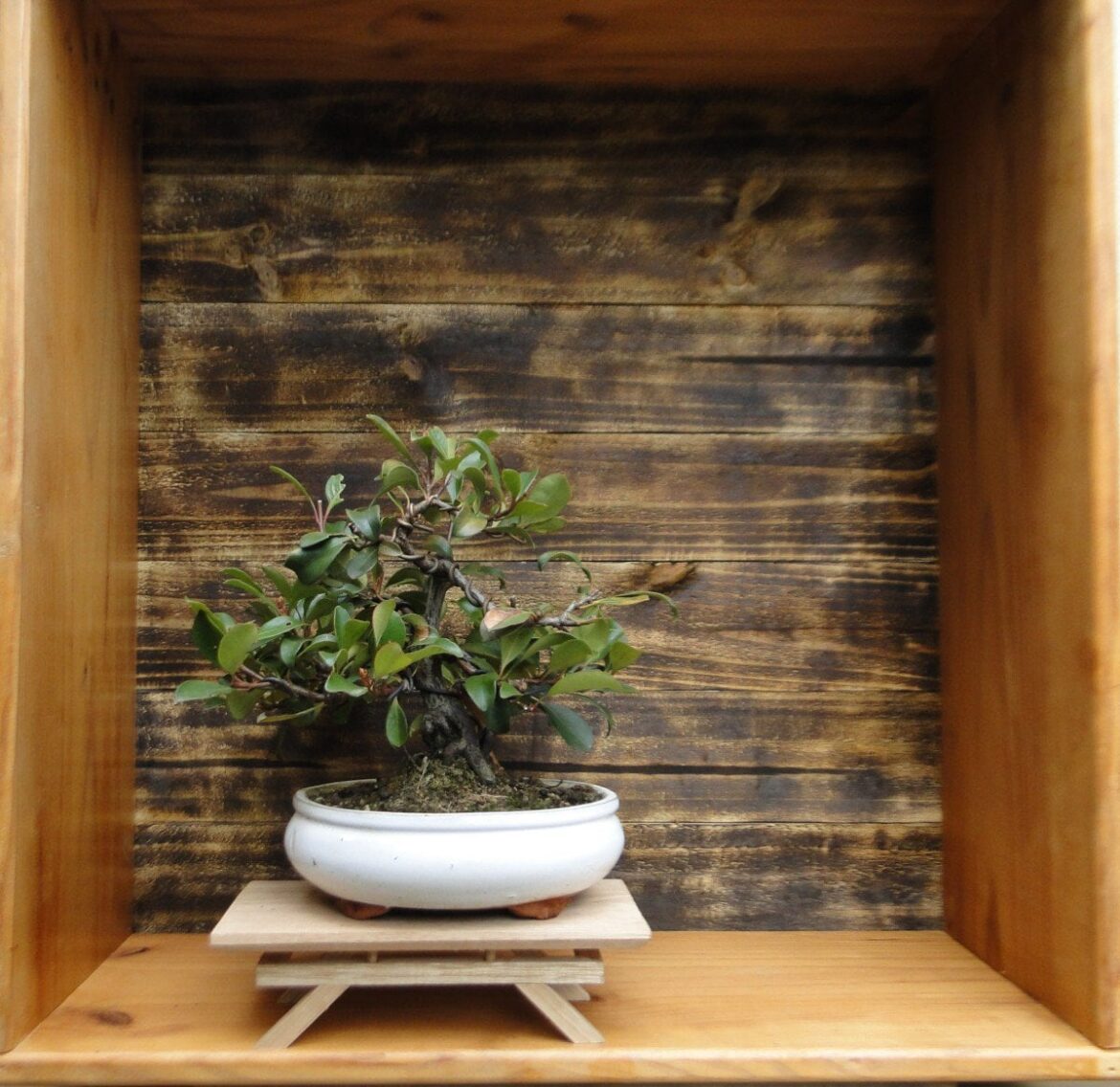 Made a little, 'rustic' Tokonoma and wrote a little about it on my blog!