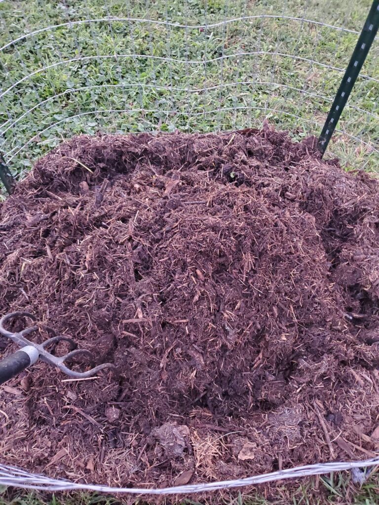 Am I on the right track? Day 19.