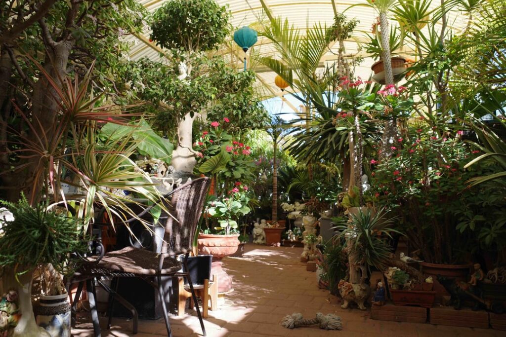 Was asked to share some updated photos of my dads garden. Five years on and I’d say it’s reached a steady state…as there’s now no room for more plants!