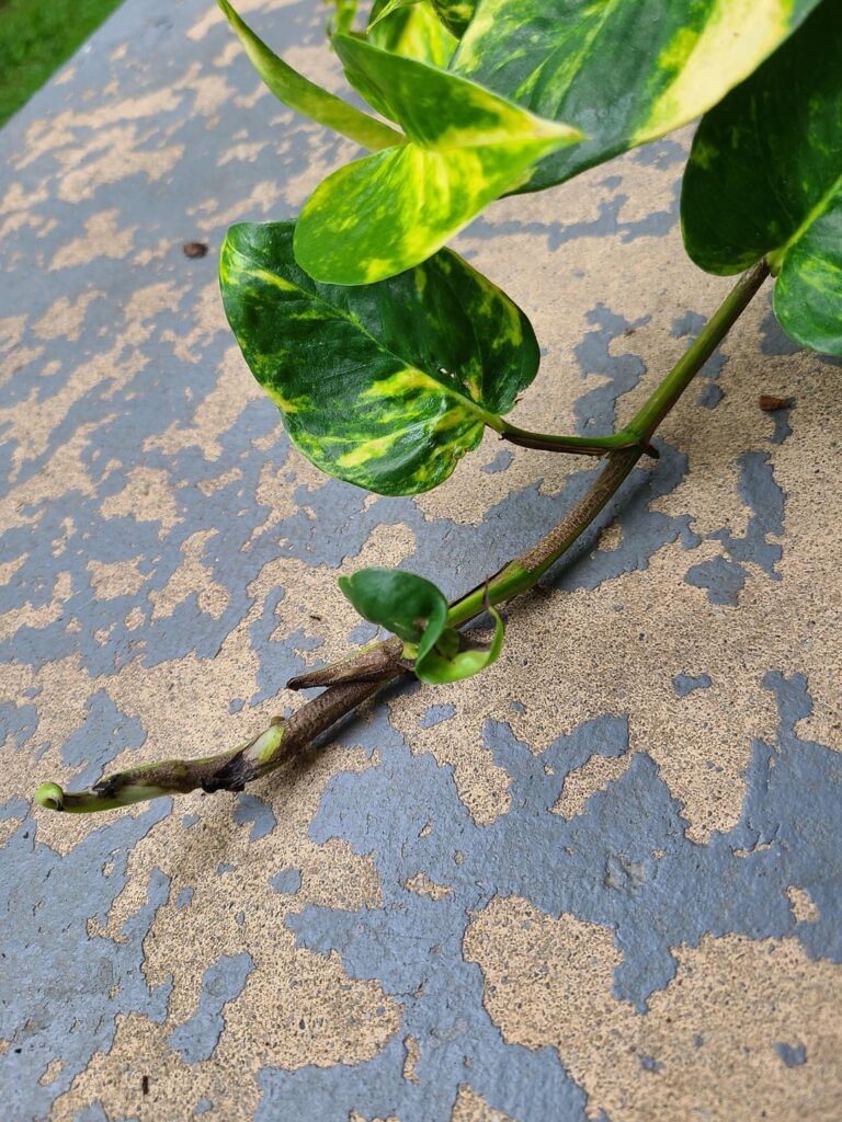 What's happening😭