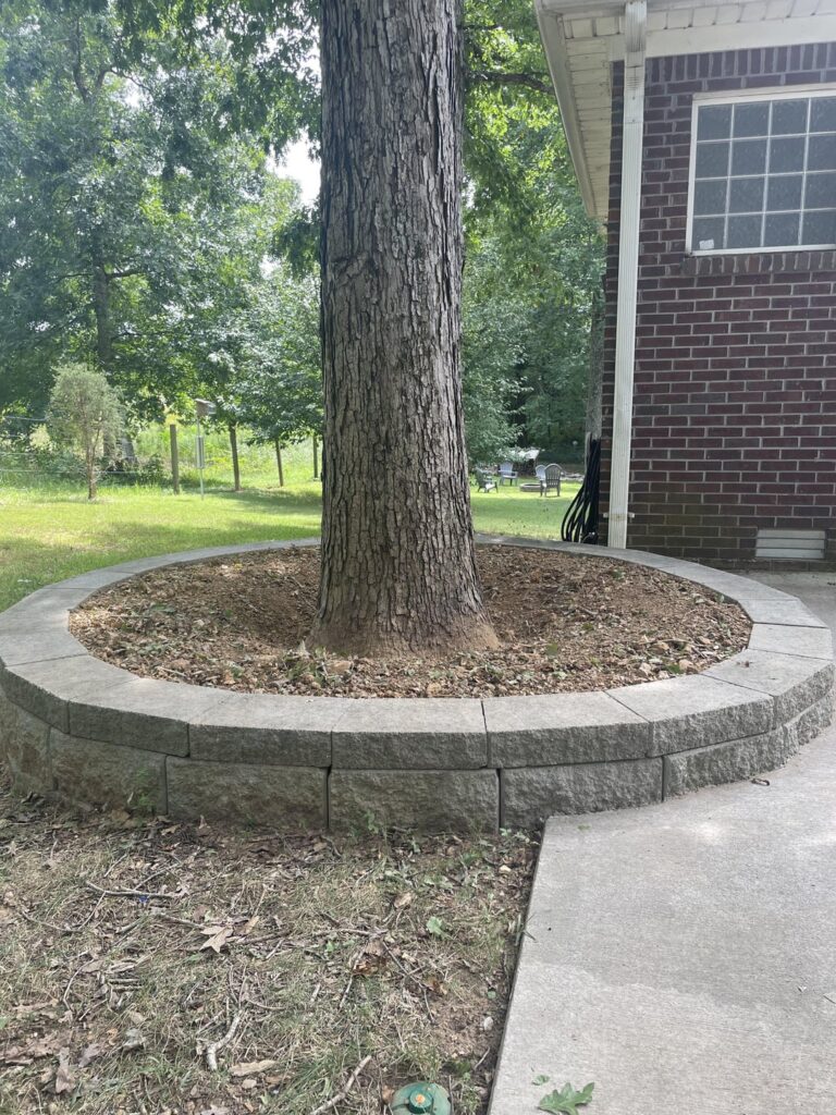 Another root flare dug out...thank you!!!