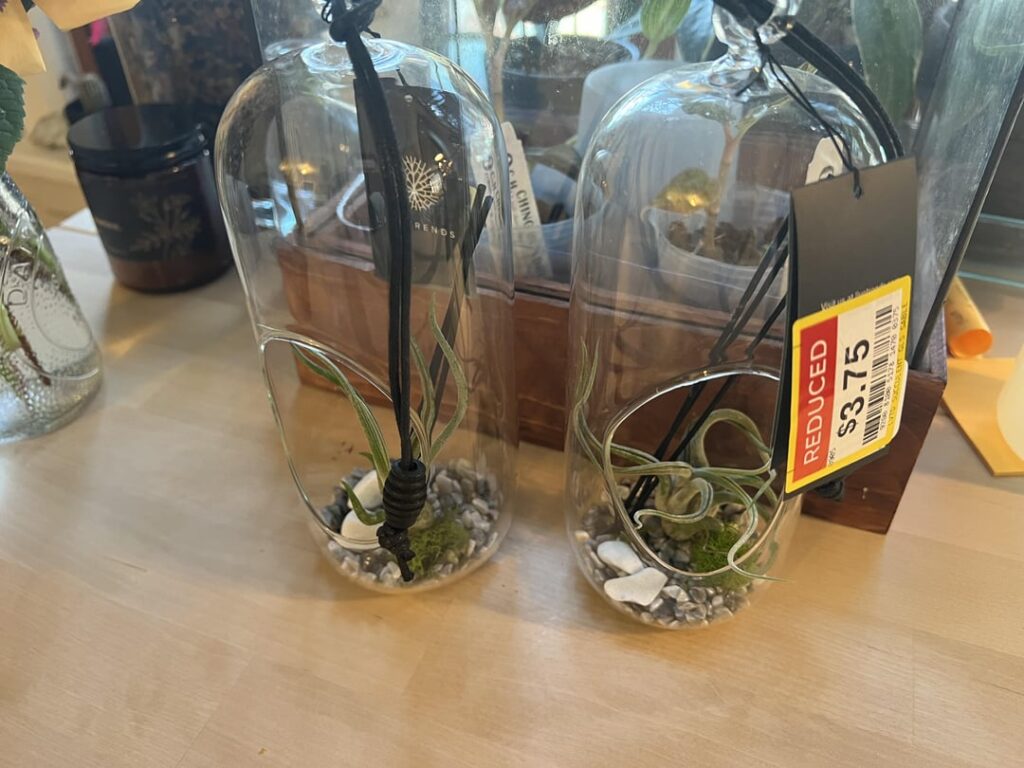 Help. Glued Plants