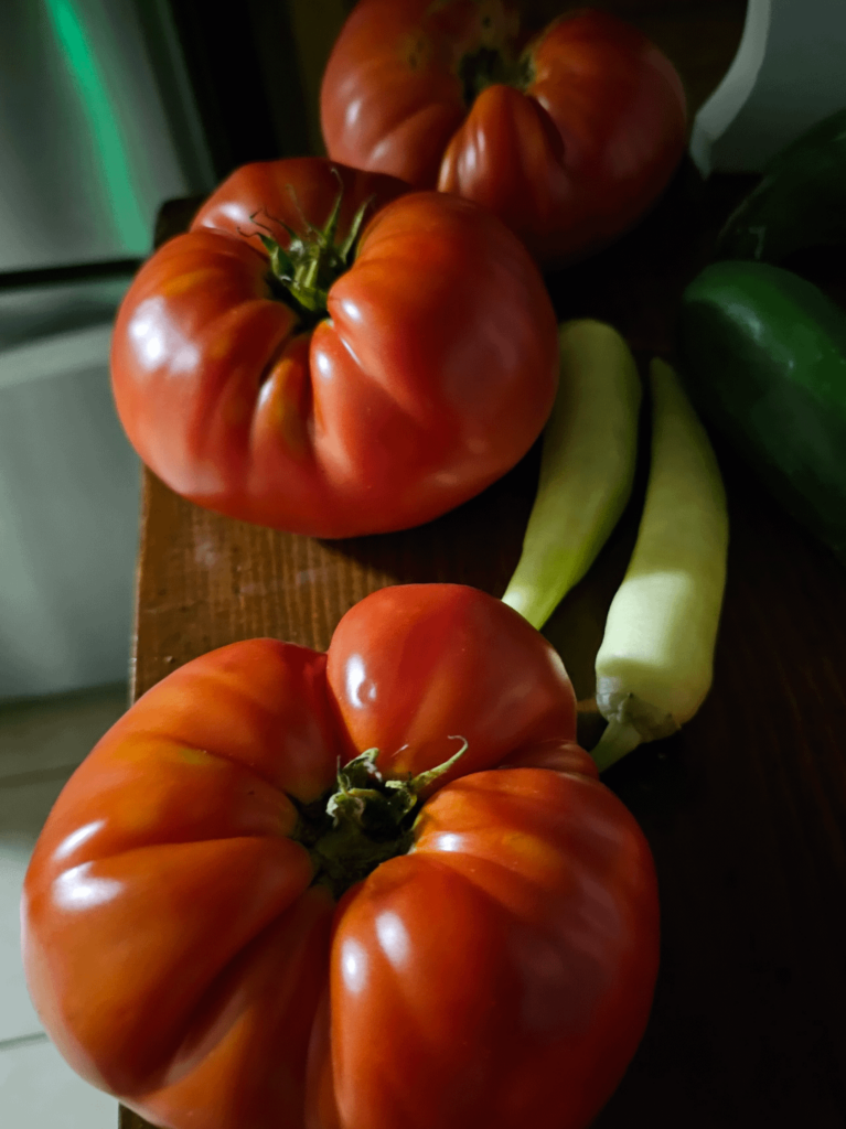 My first over one pound a piece beefmasters.