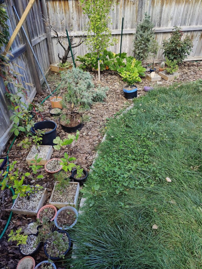 State of the Collection (SotC) early Fall 2023. Feedback/ideas/questions all welcome.