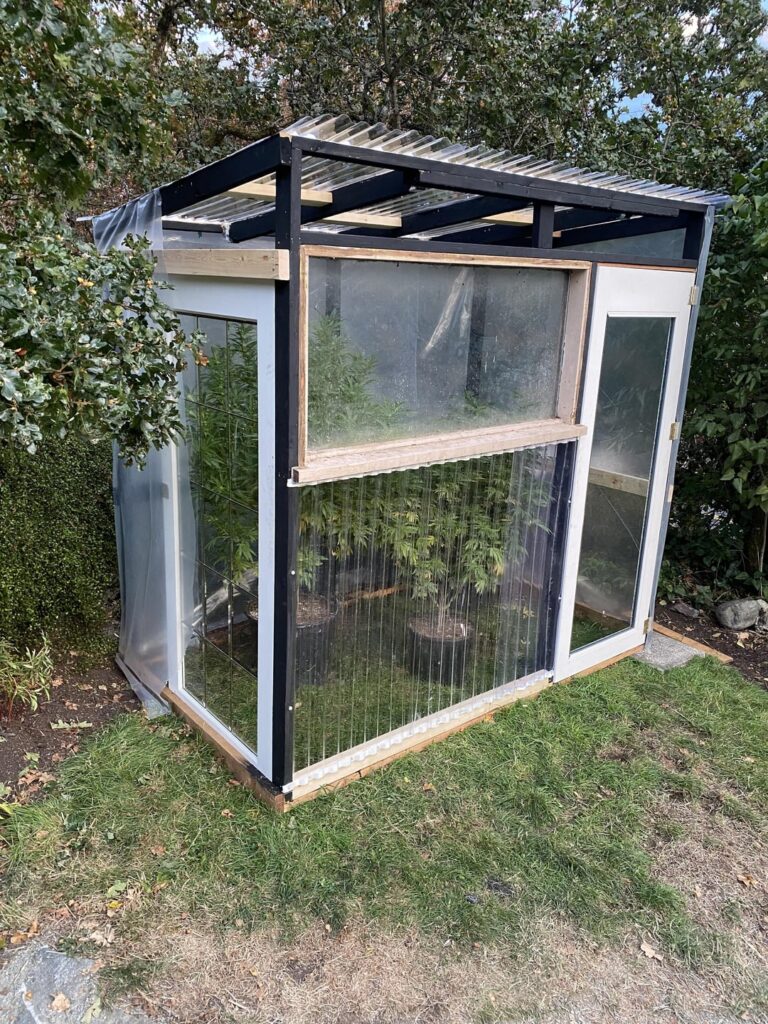Rate my greenhouse