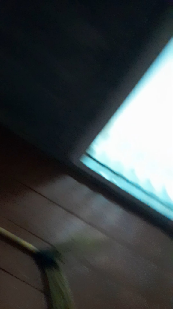 If a rooster is problematic, lay it out. No need to put stress on the flock. Pluck the feathers on the right side of the neck and sever the jugular. Drain the blood into a bowl. Don’t cut the head, there won’t be proper drainage and it will be hard to pluck. If a rooster is problematic, lay it out. No need to put stress on the flock. Pluck the feathers on the right side of the neck and sever the jugular. Drain the blood into a bowl. Don't cut the head, there won't be proper drainage and it will be hard to pluck.