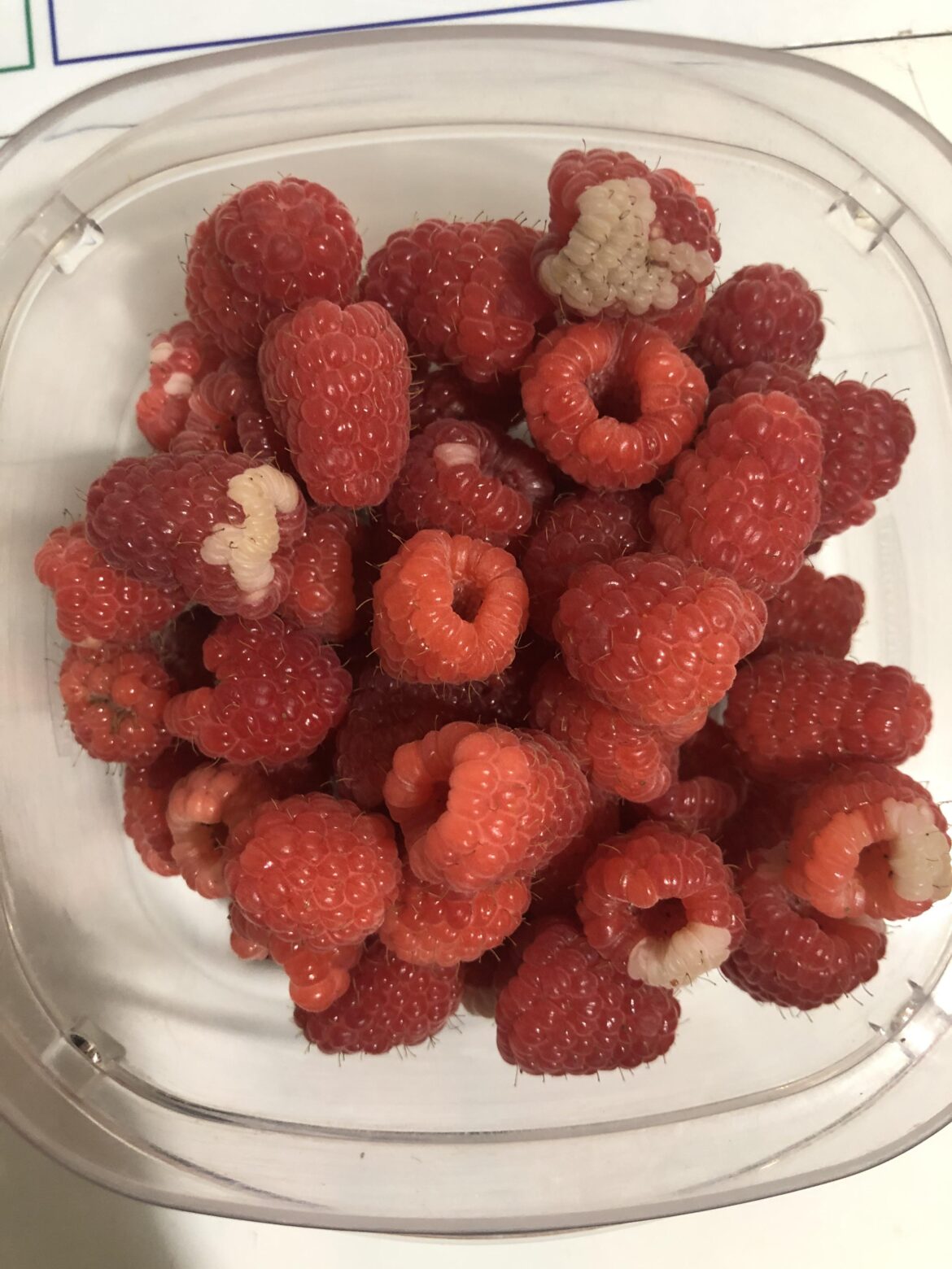 Anyone know why my raspberries have white spots?
