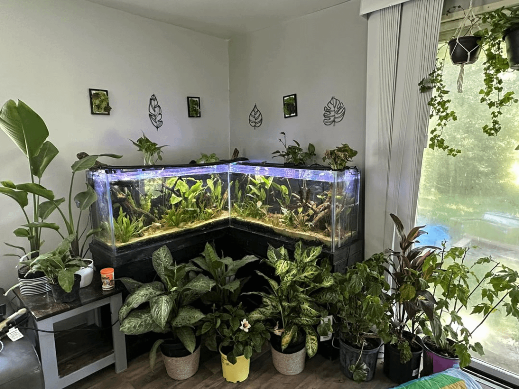 Love my little corner