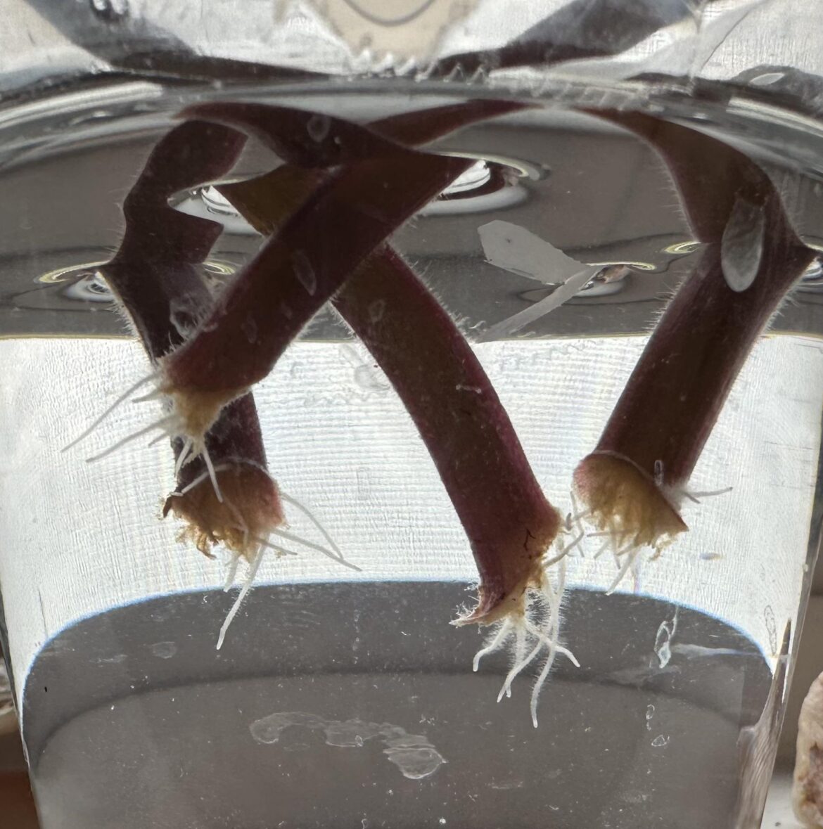 My first ever water props