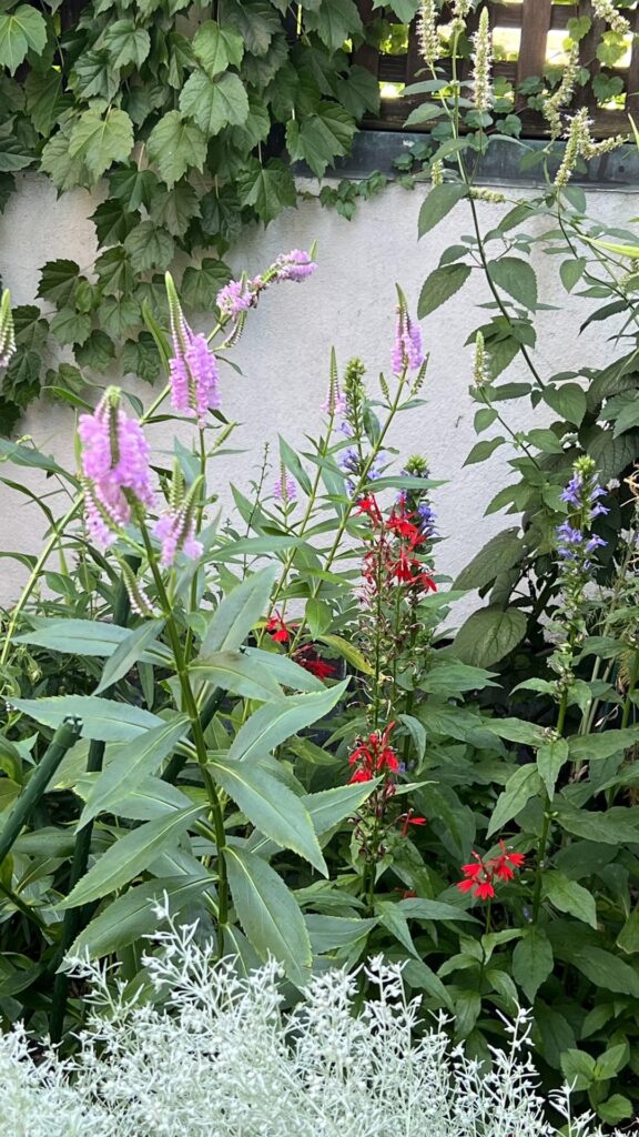 Last flush of native blooms