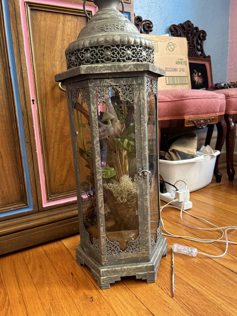 What should I put in here?