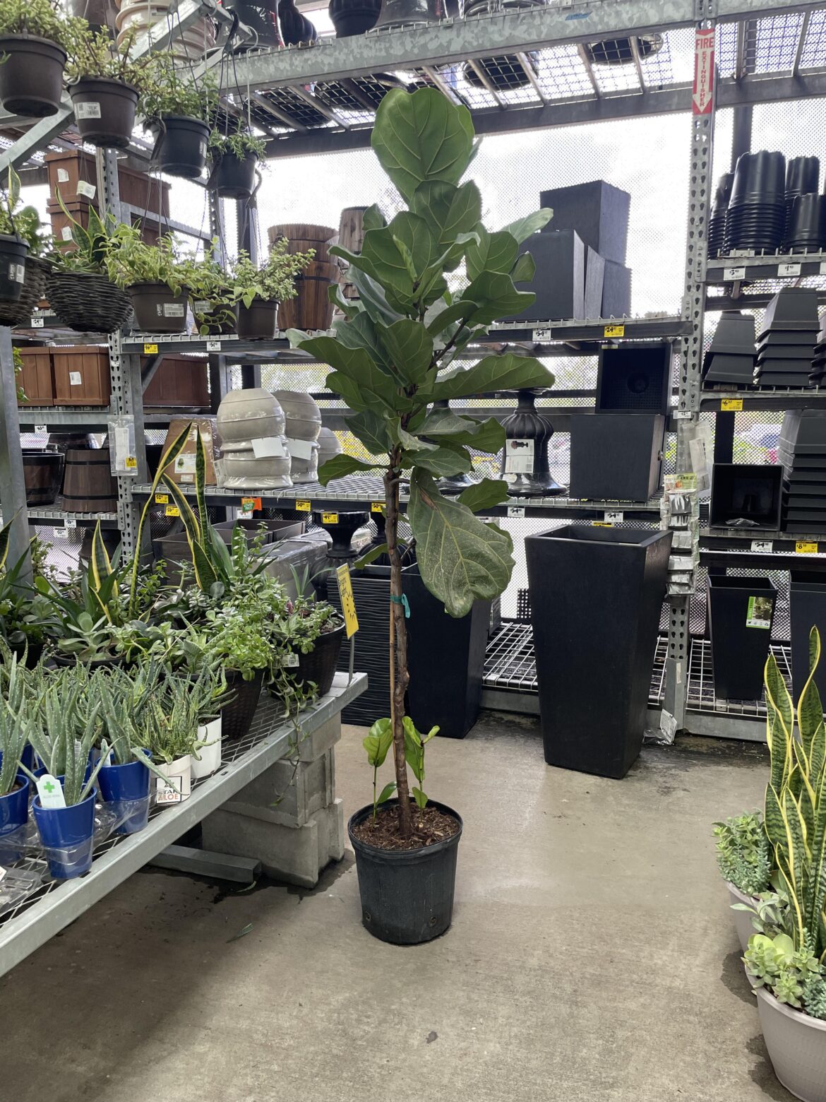 $45 and didn’t get it- how stupid am I?