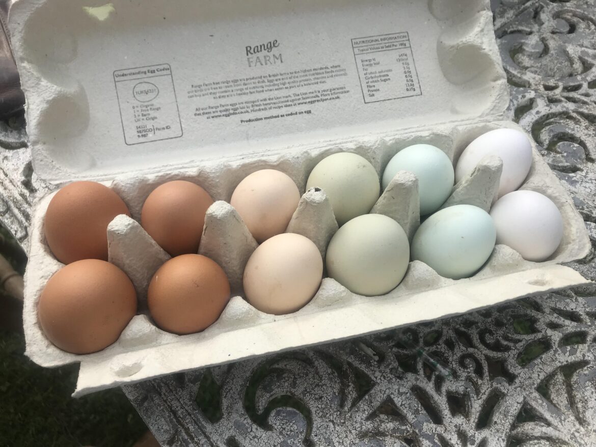 So proud of my girls!