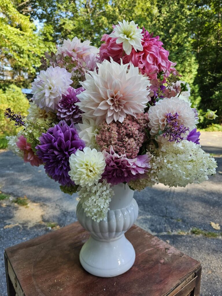 Entered my dahlia arrangement into the fair - wish me luck!! Took forever to do but shout out to the woman here who talked about using chicken wire to secure the stems!!