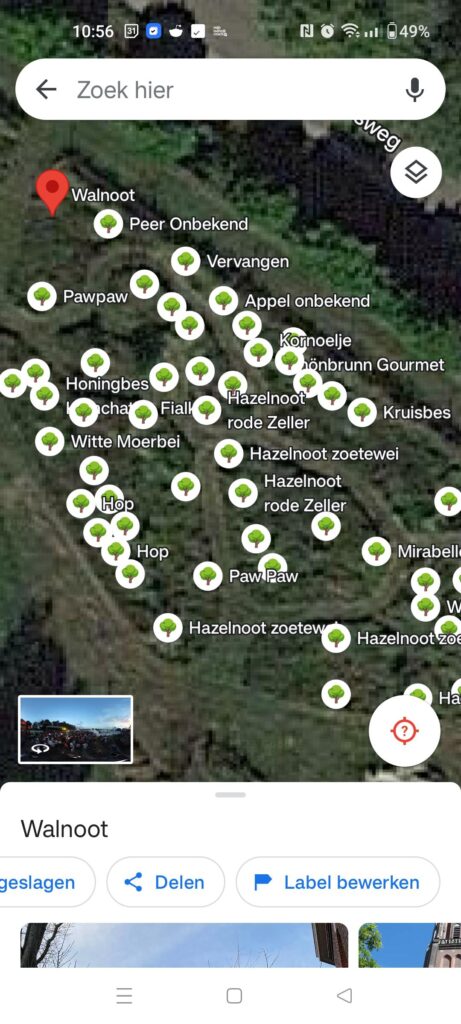 Mapping out my food forest Mapping out my food forest