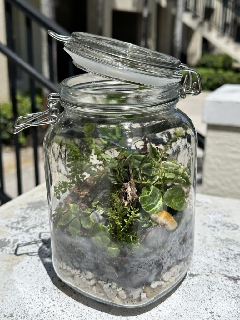 My boyfriend and I made our first terrariums! My boyfriend and I made our first terrariums!