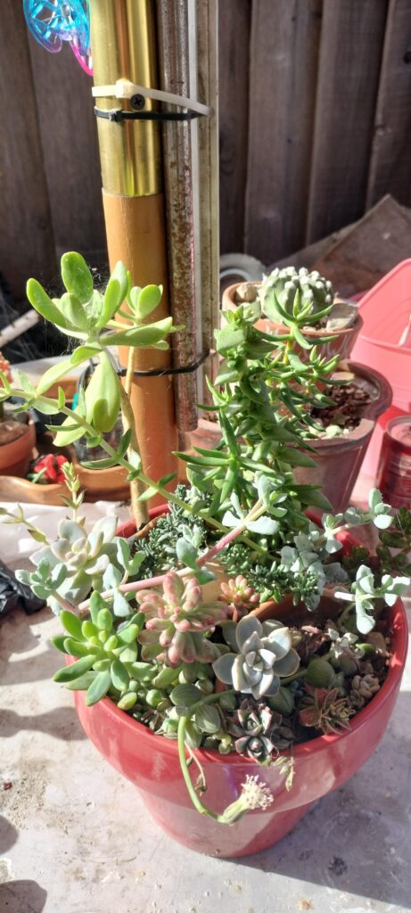 Happy prop pot. I just shove 'em in and hope for the best.