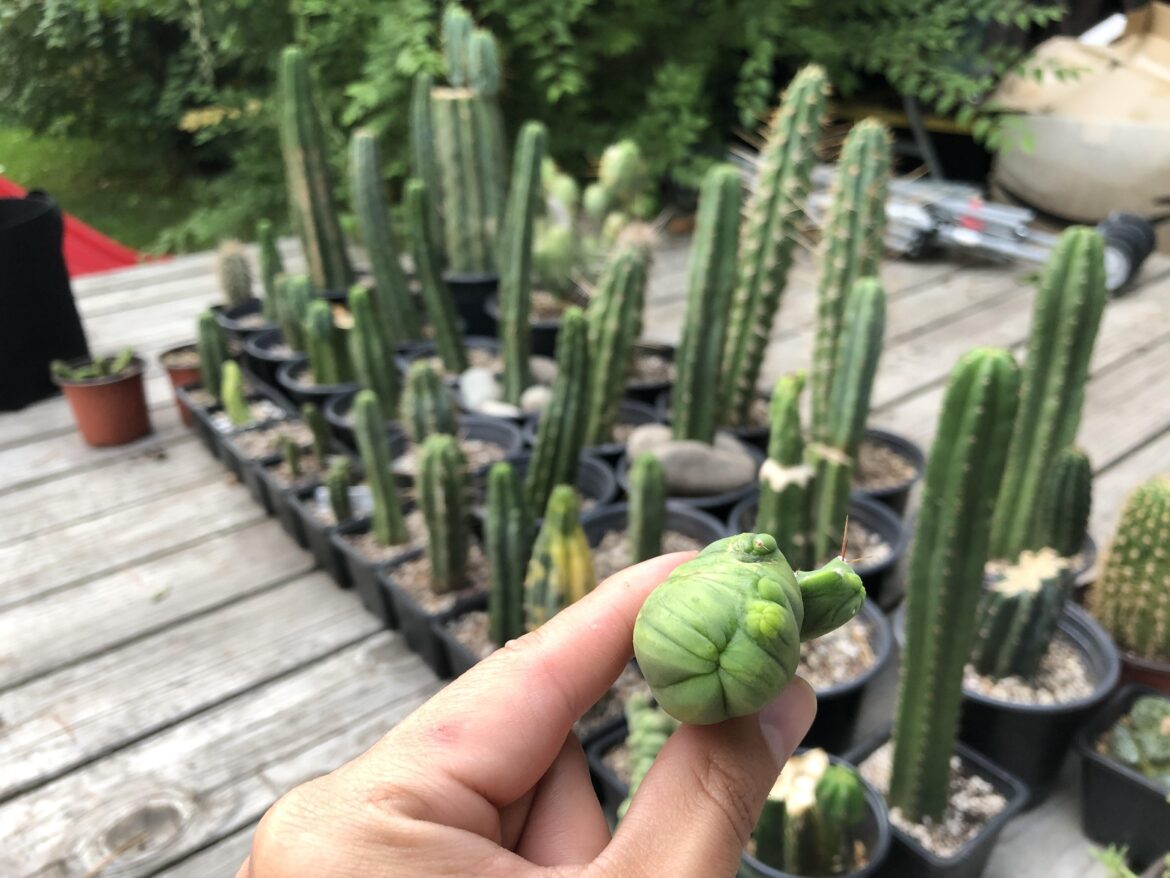 Met up with u/DolanThyDank Met up with u/DolanThyDank