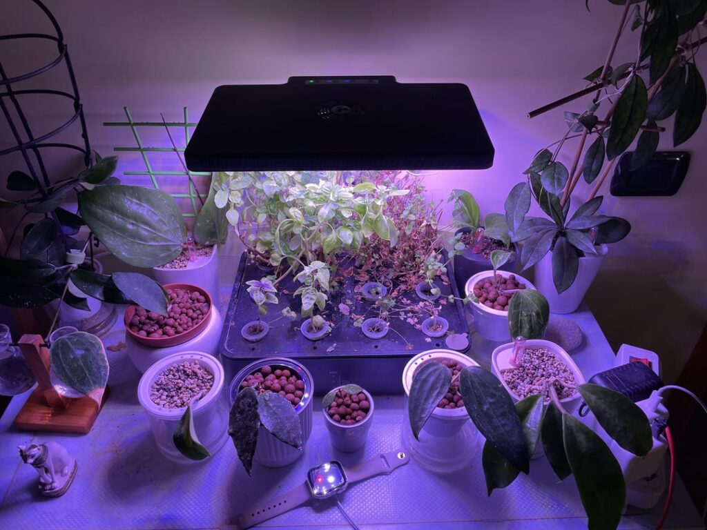 SemiHydro Conversion. Thinking: what to choose between leca and pon?