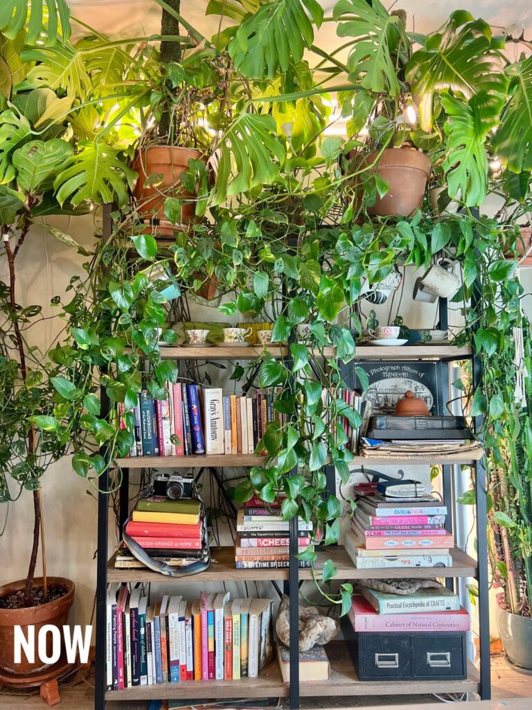 Swipe ➡️ to see one year’s growth