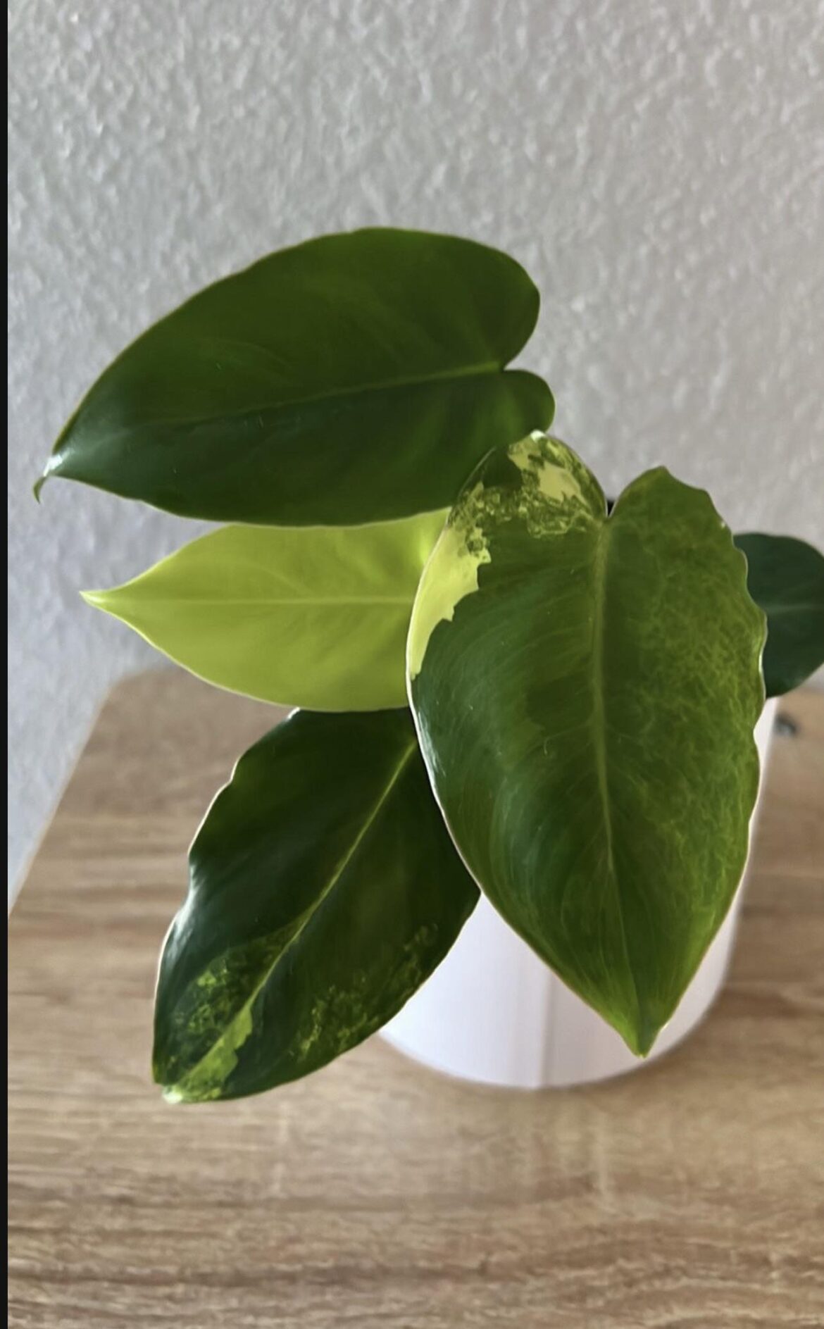 Is this a good deal?