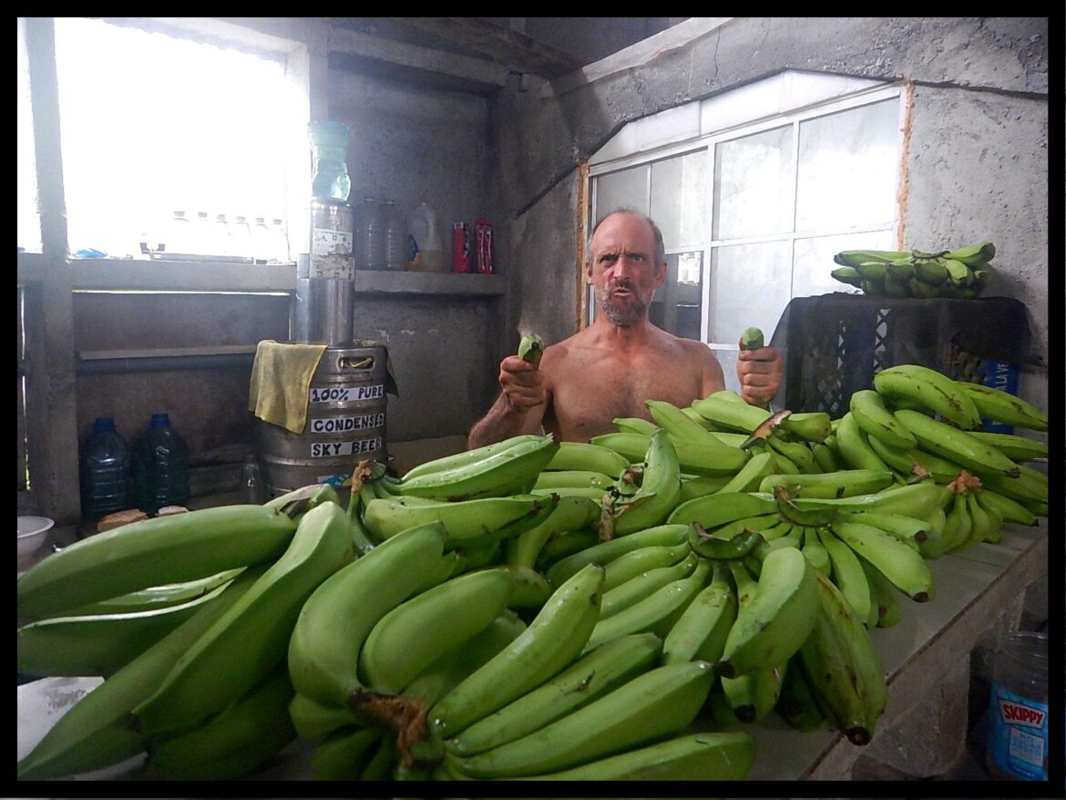 One Bunch of Bananas. I just cut it down. Good thing I have 4 kids!