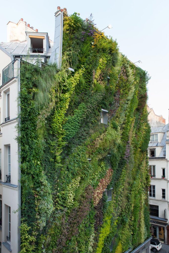 A veritcal garden: a hymn to biodiversity