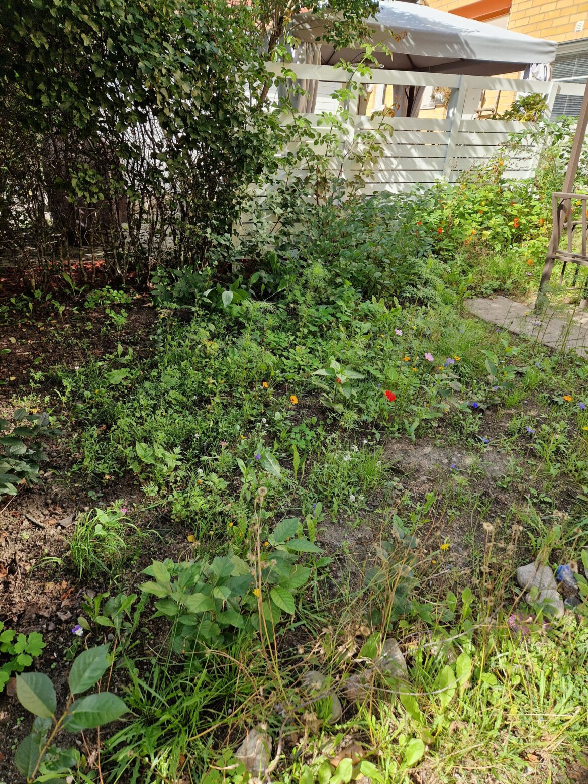 From black earth to meadow