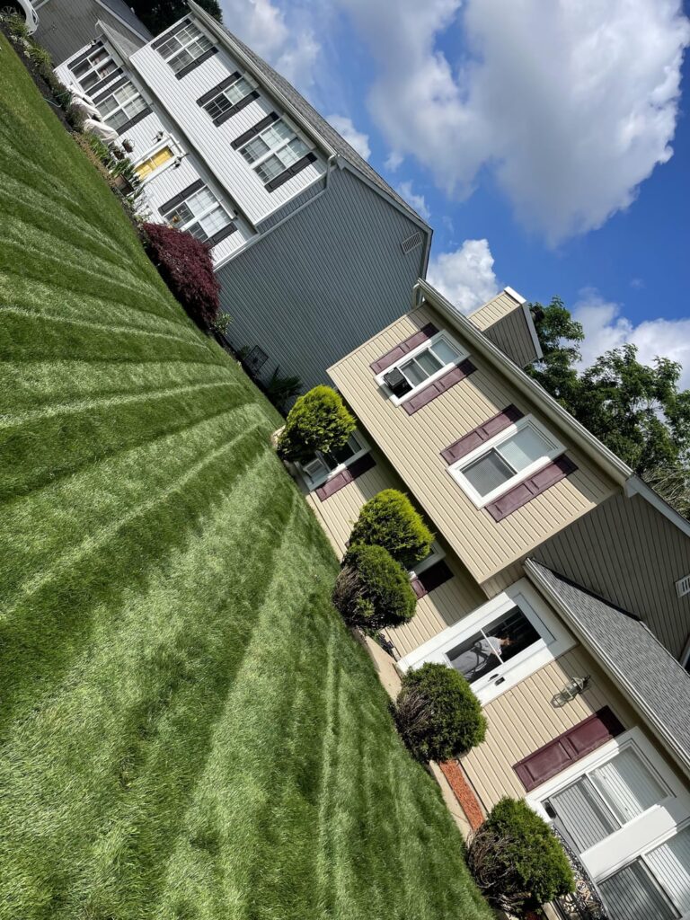 Project house coming along