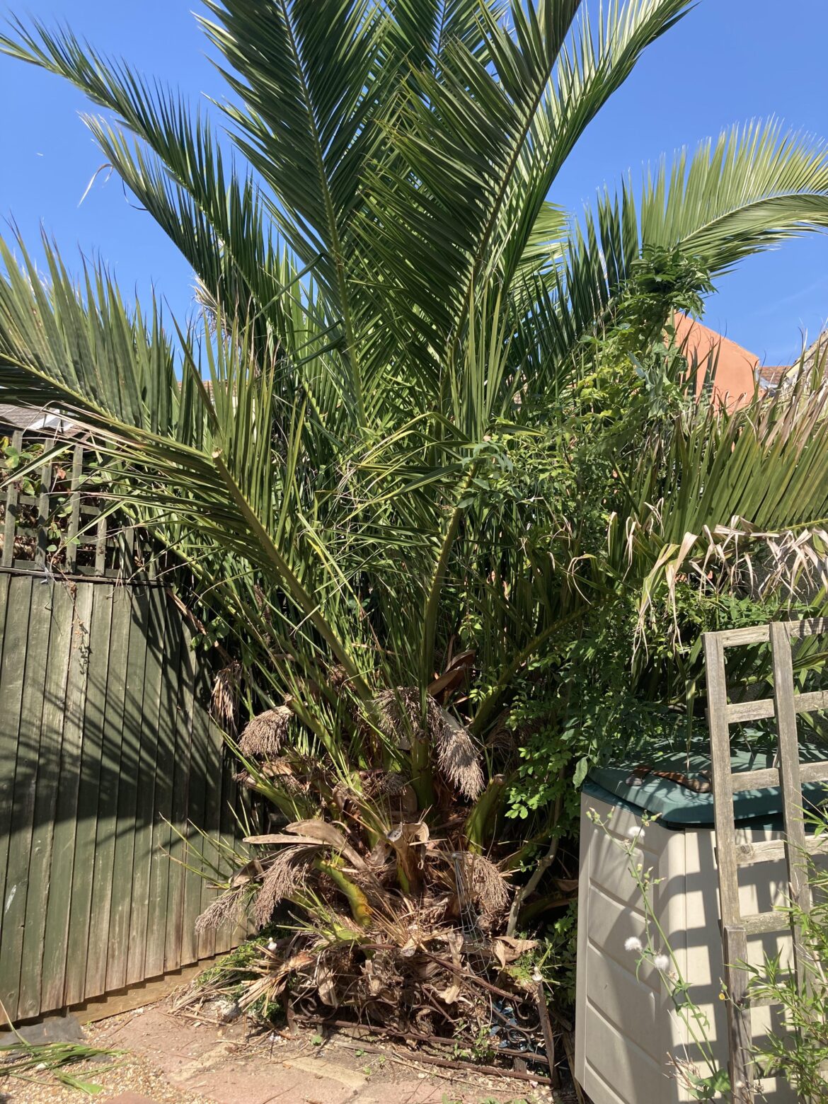 Any idea what this is?