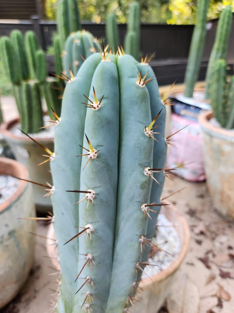 What to do with this BBG 48.1540?