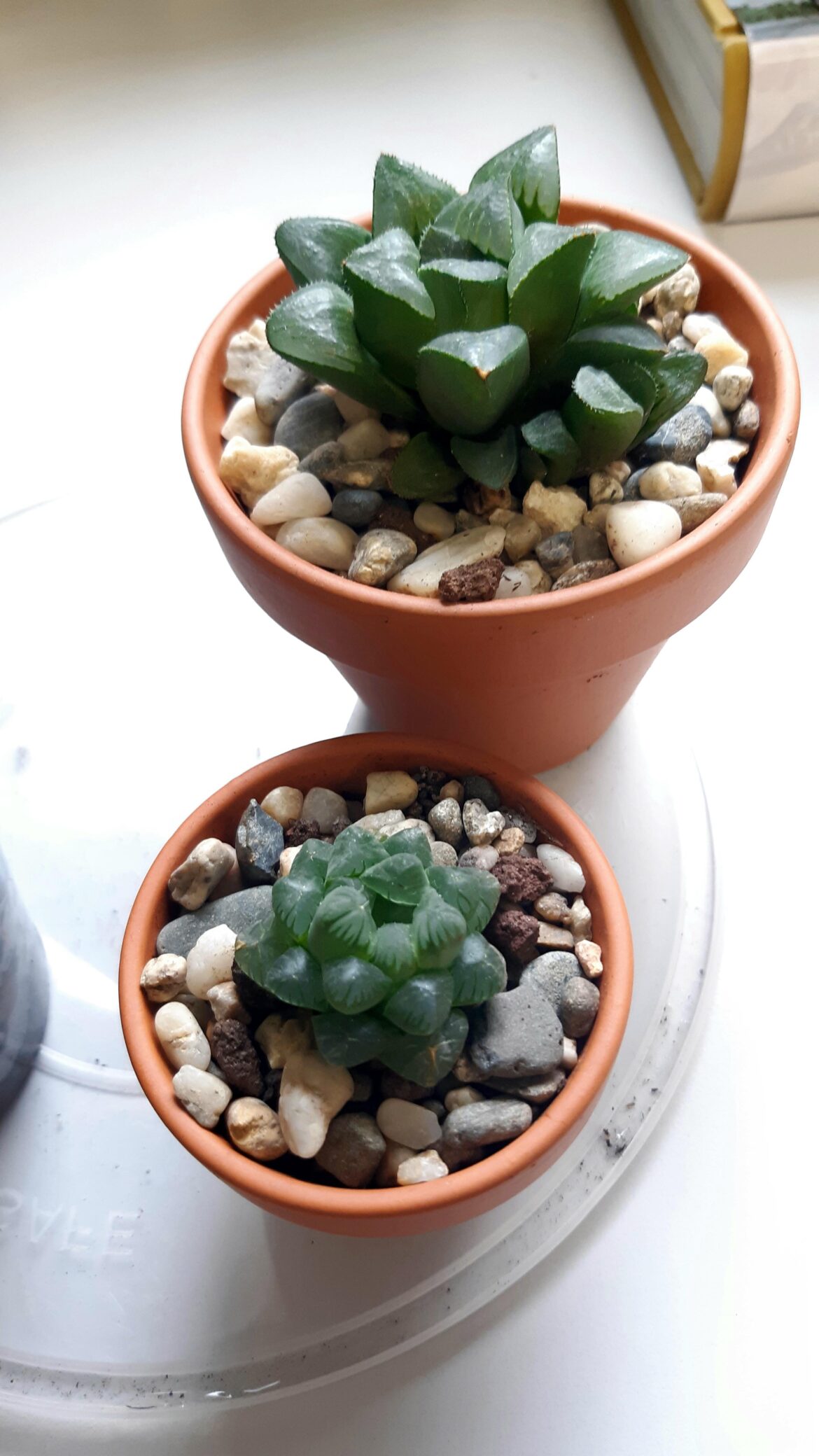 My favorite coworkers