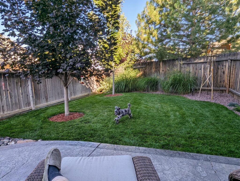 He thinks it's his backyard