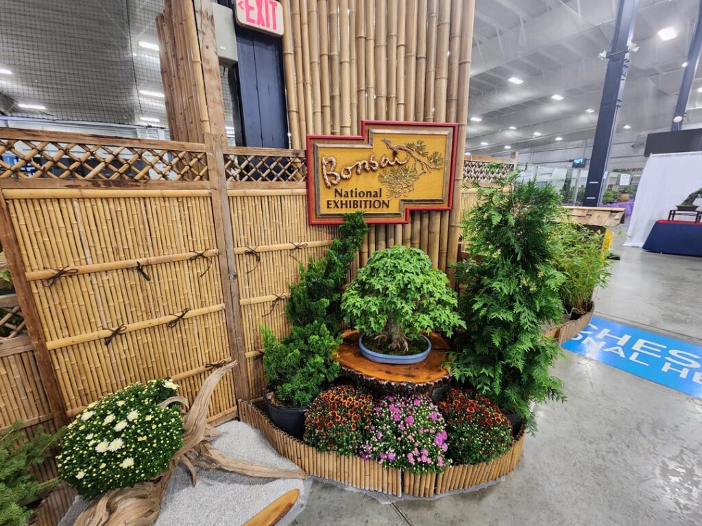 A few shots from today's US National Bonsai Exhibition.